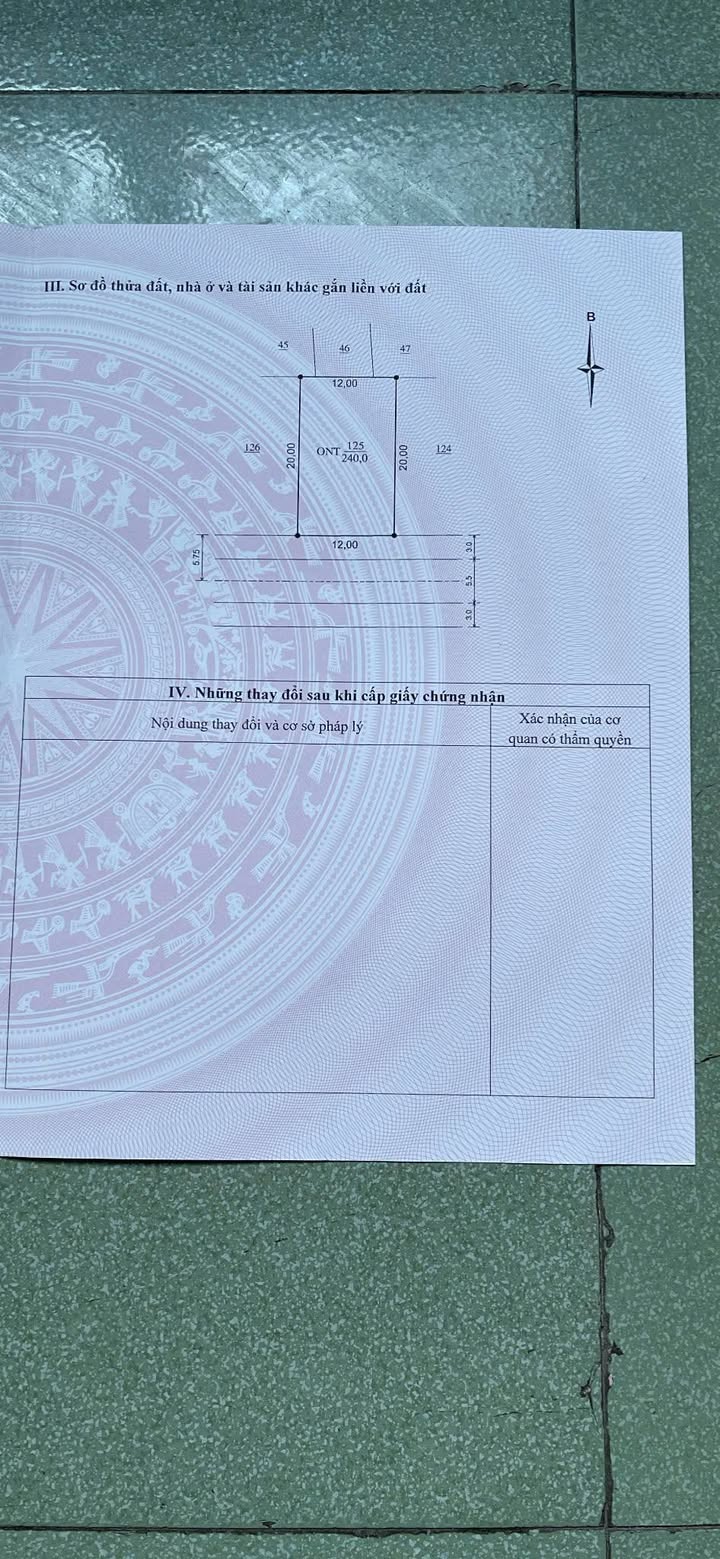 Lô đất 240m² Hoằng Ngọc giá chỉ 1.9 tỷ - Đầu tư sinh lời ngay!