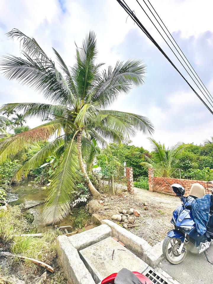 Đất 2MT đường An Sơn 499.8m² giá 6.5 tỷ - Đầu tư sinh lời ngay!