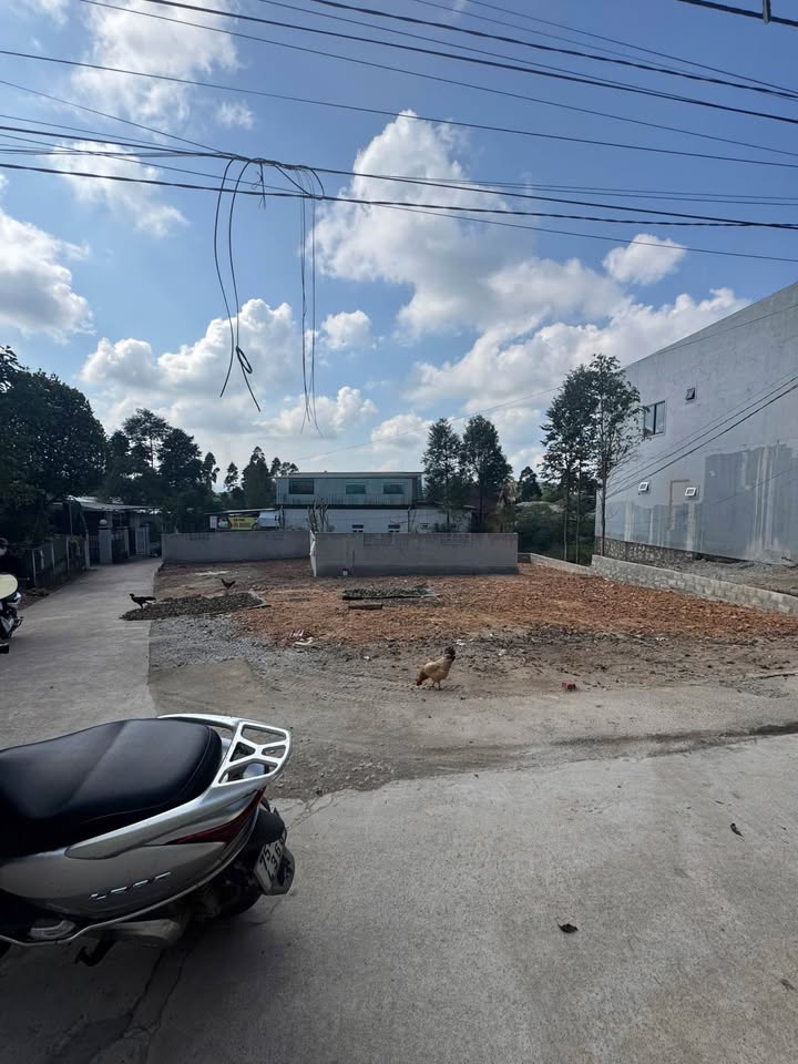 Đất Lê Ngô Cát, Thủy Xuân 100m² giá 1 tỷ - Đường ô tô vào tận nơi!