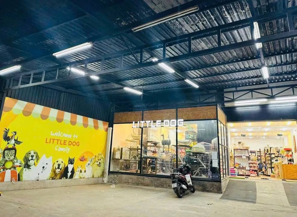 Cho thuê mặt tiền Xuân Thủy, Thảo Điền 200m² - Vị trí đắc địa, phù hợp kinh doanh!