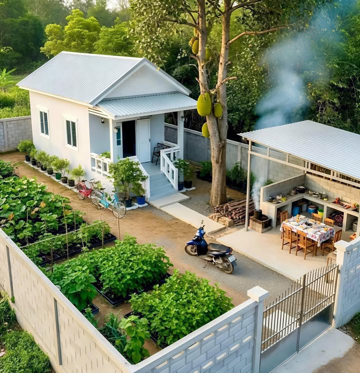 Đất nền biệt thự Suối Đá 500m² giá chỉ 1.5 tỷ - Đầu tư lý tưởng!