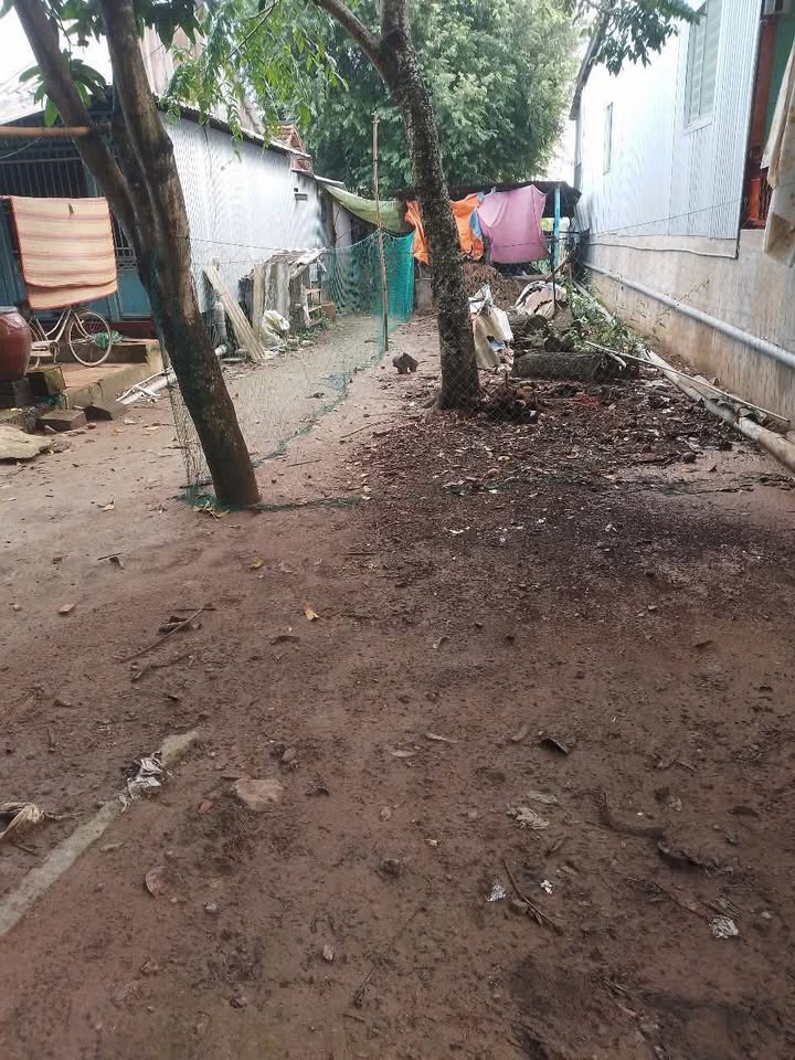 Đất nền xã An Thạnh Trung 125m² giá 250 triệu - Cơ hội đầu tư tuyệt vời!