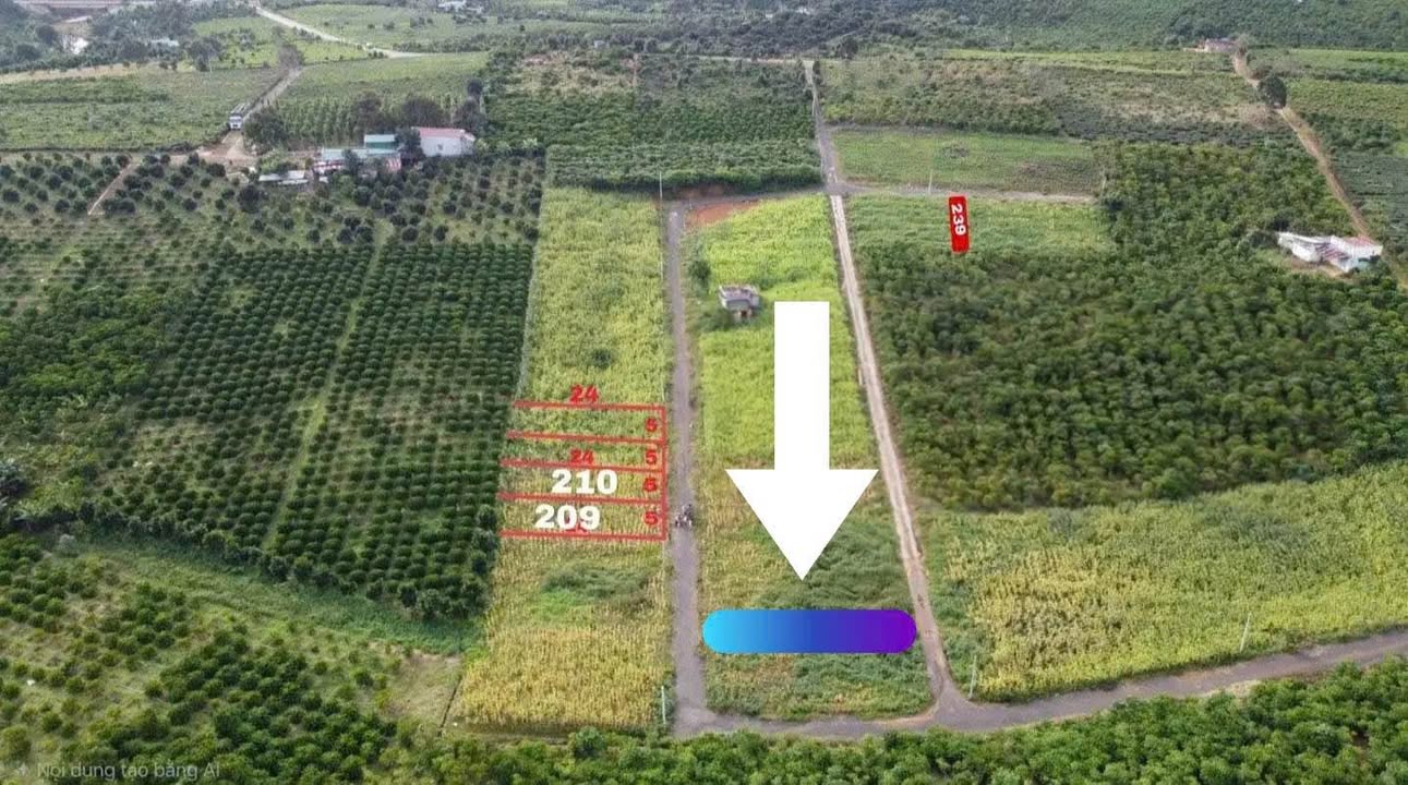 Đất thổ cư 2 mặt tiền Lộc An 167.7m² giá chỉ 450 triệu - Cơ hội đầu tư hấp dẫn!