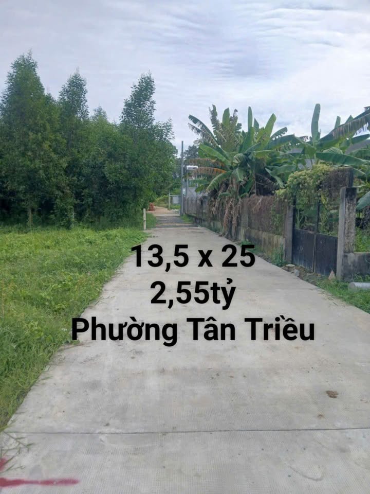 Đất thổ cư 337m² tại Tân Phong, Biên Hòa - Giá chỉ 2,55 tỷ, sổ riêng chính chủ!