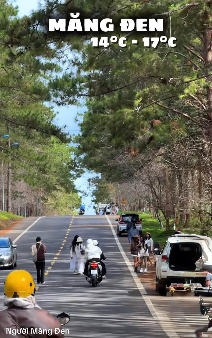 Đất nền phường Tam Quan 200m² giá 1 tỷ - Đầu tư sinh lời nhanh chóng!