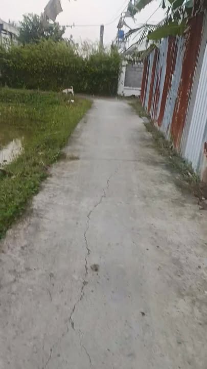 Đất nông nghiệp 10000m² tại Ấp Thanh Ba, Cần Giuộc chỉ 2.2 tỷ - Cơ hội đầu tư hấp dẫn!