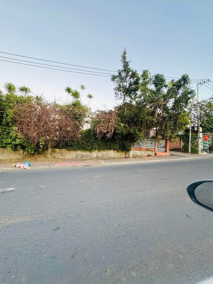 Lô đất nông nghiệp mặt tiền Trần Văn Hai, 297m² chỉ 1.6 tỷ - Cơ hội đầu tư tuyệt vời!