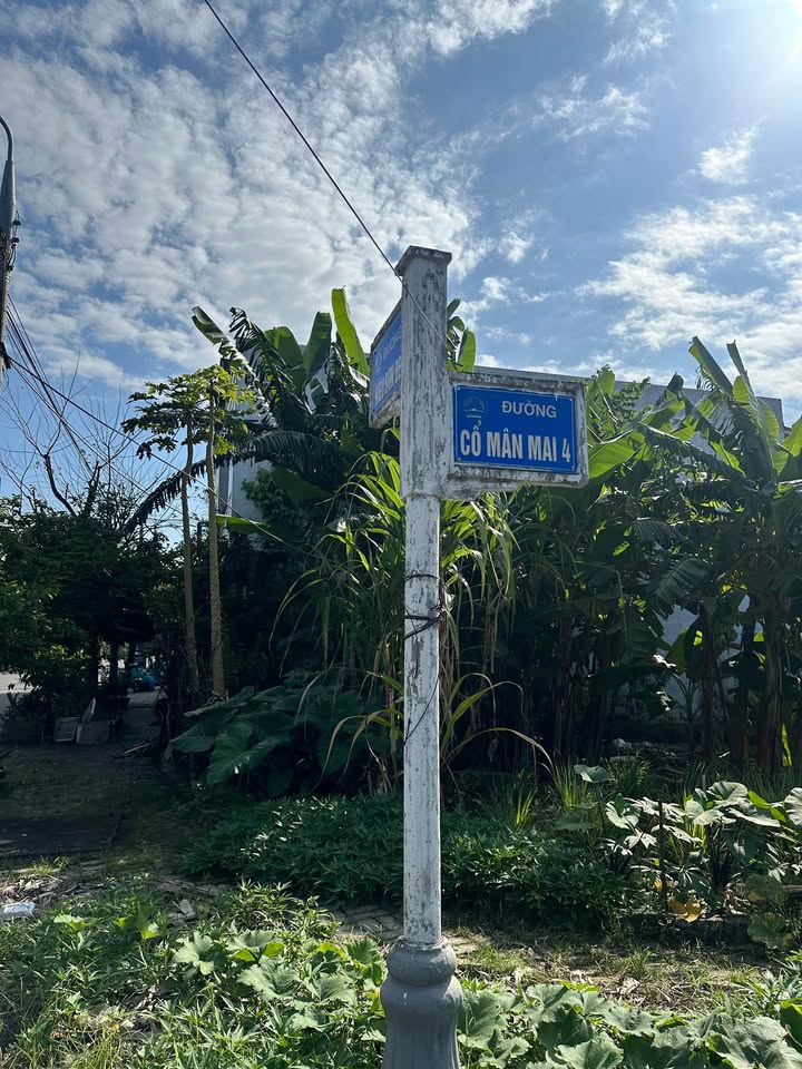 Đất nền Cổ Mân Mai 4, Quận Ngũ Hành Sơn 100m² giá 4.5 tỷ - Đầu tư sinh lời!