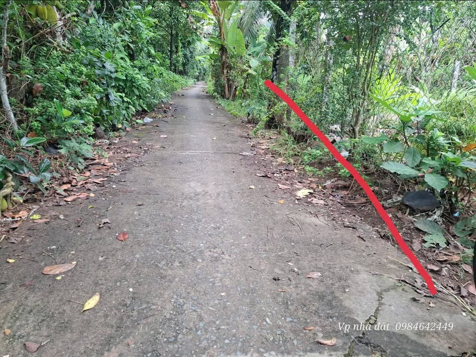 Đất nền Vĩnh Hòa, Chợ Lách, Bến Tre 100m² giá 199 triệu - Cơ hội đầu tư tuyệt vời!