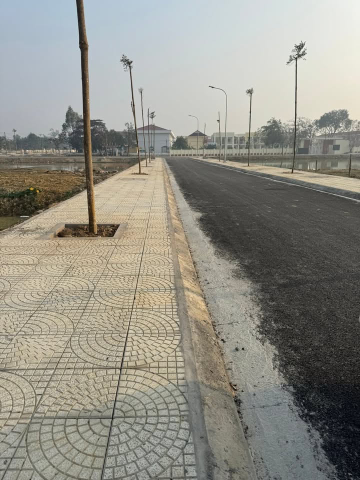 Đất nền LK5.04 Thiệu Phúc 100m² - Tiềm năng đầu tư lớn!