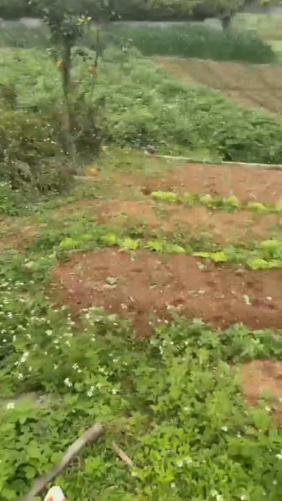 Đất nền 2947m² Phường Trù Hựu, Thị xã Chũ - Chỉ 1 tỷ - Cơ hội đầu tư tuyệt vời!