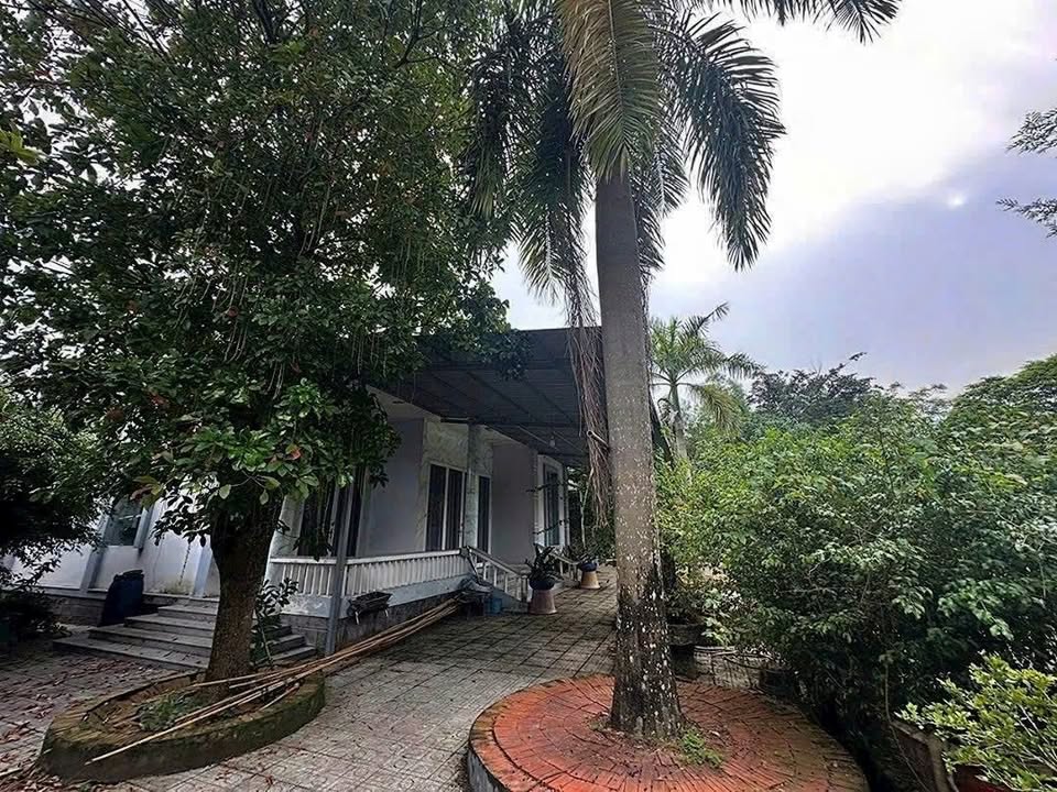 Biệt thự nhà vườn Thái Mỹ, Củ Chi 1.000m² giá 5,8 tỷ - Không gian sống lý tưởng!