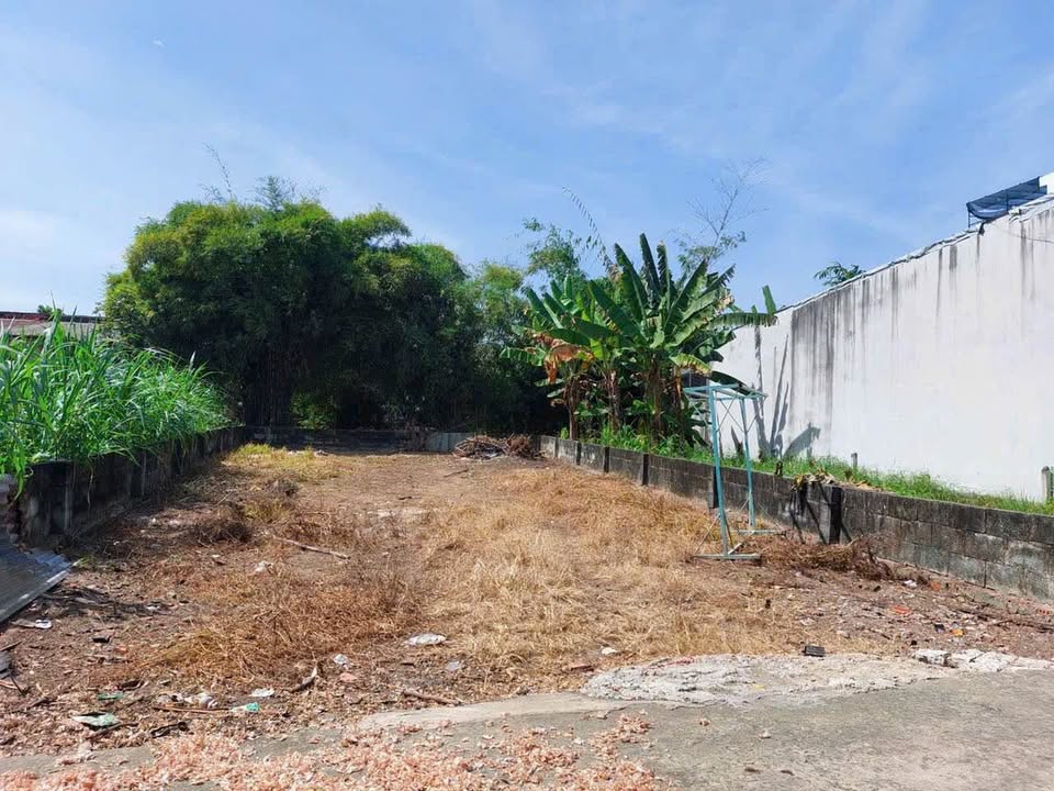 Đất thổ cư Tân Thạnh Đông, Củ Chi 183m² giá 2.65 tỷ - Đầu tư sinh lời ngay!