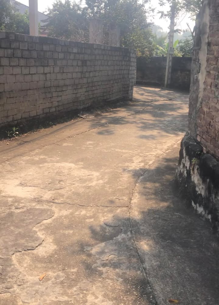 Đất nền thôn Ngò Chè, Tân Yên 120m² giá 1.1 tỷ - Đầu tư sinh lời ngay!