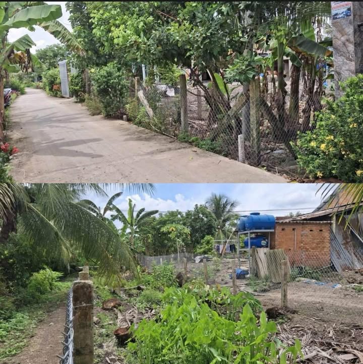 Đất nền ô tô ấp Mỹ Hội, xã Mỹ Hạnh Đông, 50m² giá 340 triệu - Đầu tư sinh lời ngay!