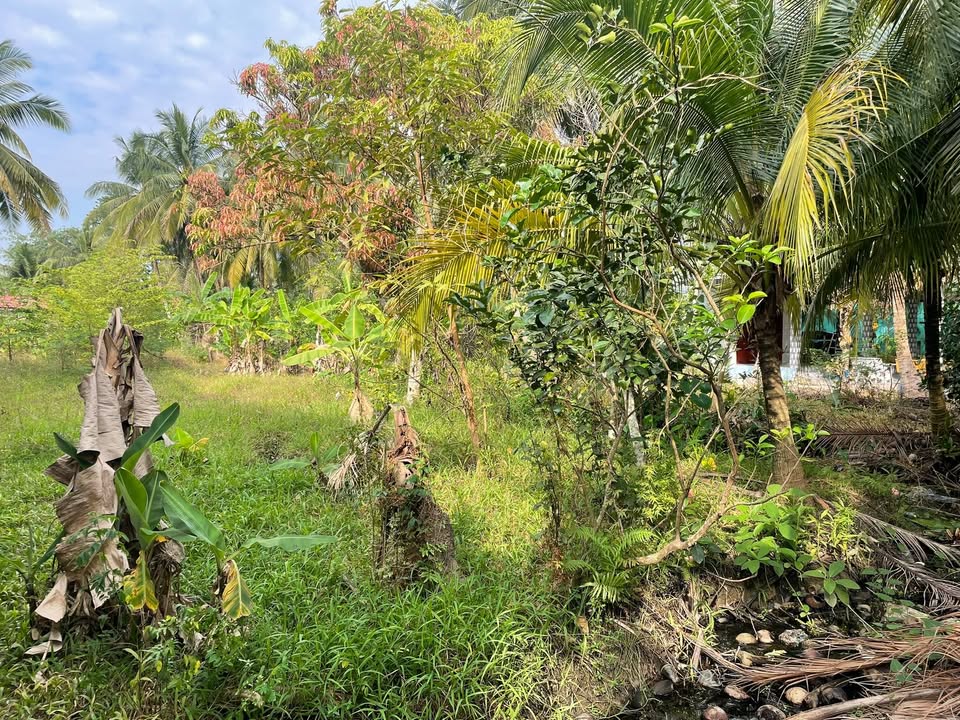 Đất nền 399m² xã Đông Hòa, Tiền Giang - Đầu tư sinh lời hiệu quả!