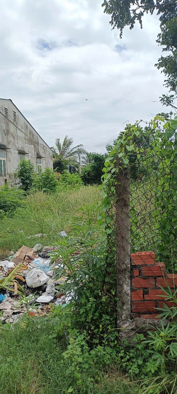 Đất thổ cư hẻm Nguyễn Lương Bằng, Phường Long Hoa, Tây Ninh 231m² - Giá chỉ 6.98 tỷ!