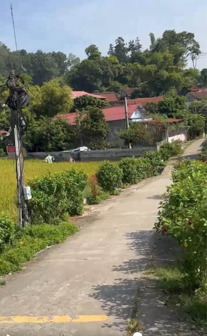 Đất nền thổ cư Hoàng Đồng - Lạng Sơn 86.7m² giá chỉ 486 triệu - Cơ hội đầu tư hấp dẫn!