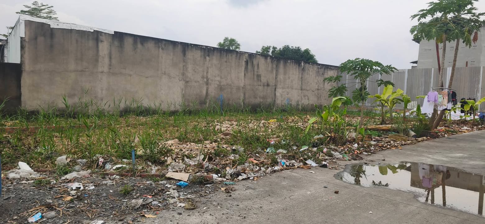 Đất nền Nguyễn Văn Tạo Nhà Bè 80m² giá 2.85 tỷ - Vị trí đắc địa kết nối nhanh Quận 7!