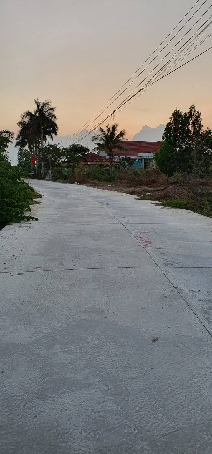 Đất trồng cây lâu năm 19.133m² tại Phan Văn Hớn, An Giang giá 12.54 tỷ - Đầu tư sinh lời ngay!