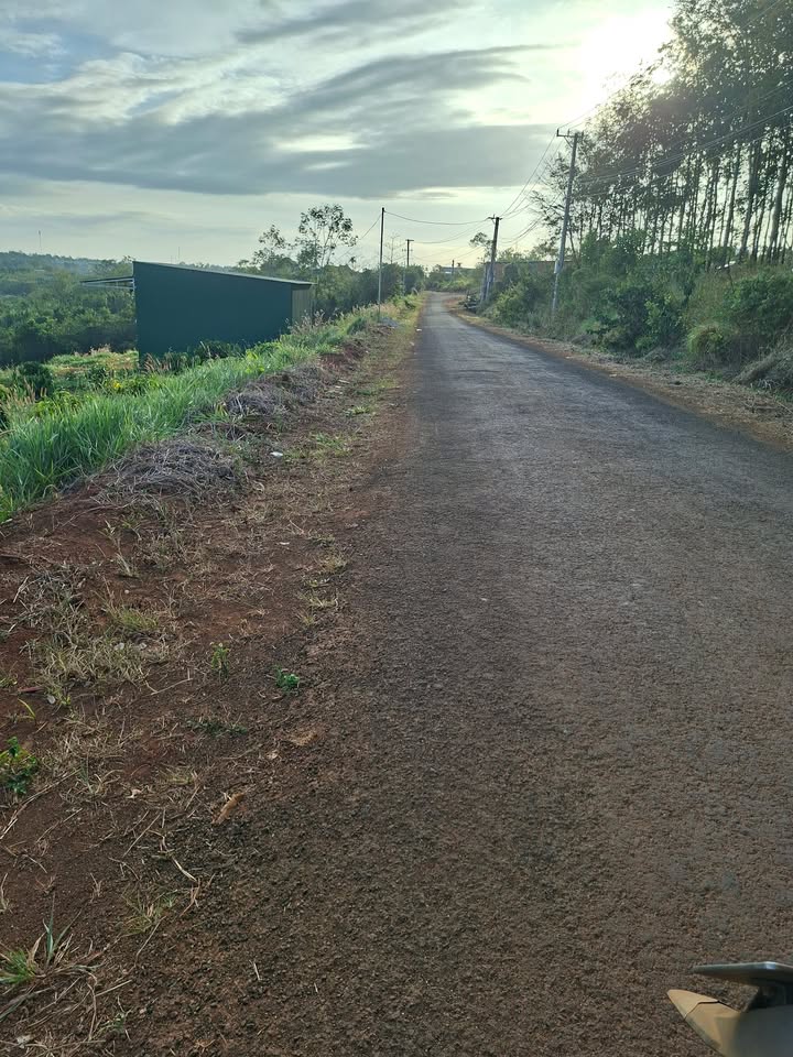 Đất thổ cư mặt đường nhựa Đăk Song 10.000m² giá 800 triệu - Cơ hội đầu tư hấp dẫn!