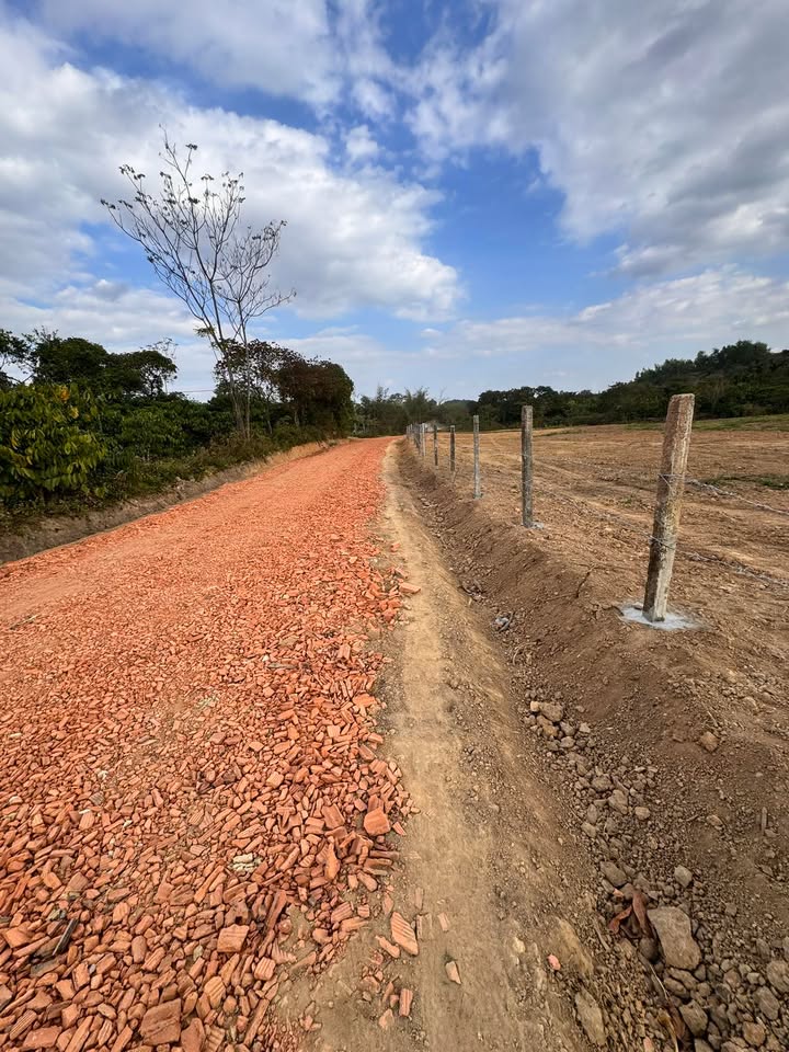 Farm 3.2 sào tại Quốc lộ 14, Di Linh, Lâm Đồng giá 750 triệu - Ô tô vào tận nơi!