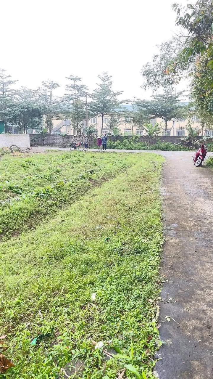 Đất nền lô góc Xuân Thành 161m² - Vị trí đẹp, giá thỏa thuận!