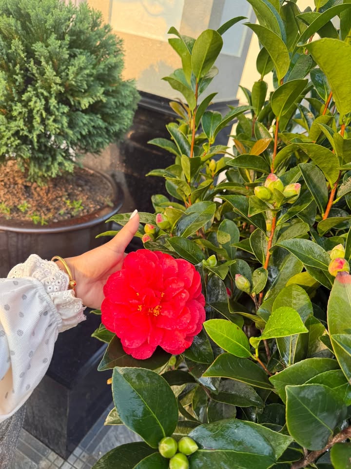 Đất nền 150m² tại Xã Vạn Hòa, Huyện Nông Cống chỉ từ 100 triệu - Cơ hội đầu tư hấp dẫn!