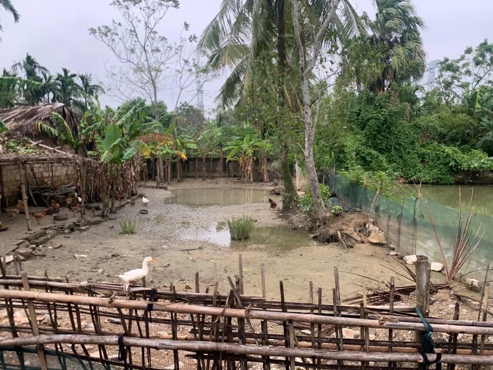 Đất thổ cư 240m² tại Thôn Thổ, Xã Tế Thắng - Giá tốt nhất khu vực!