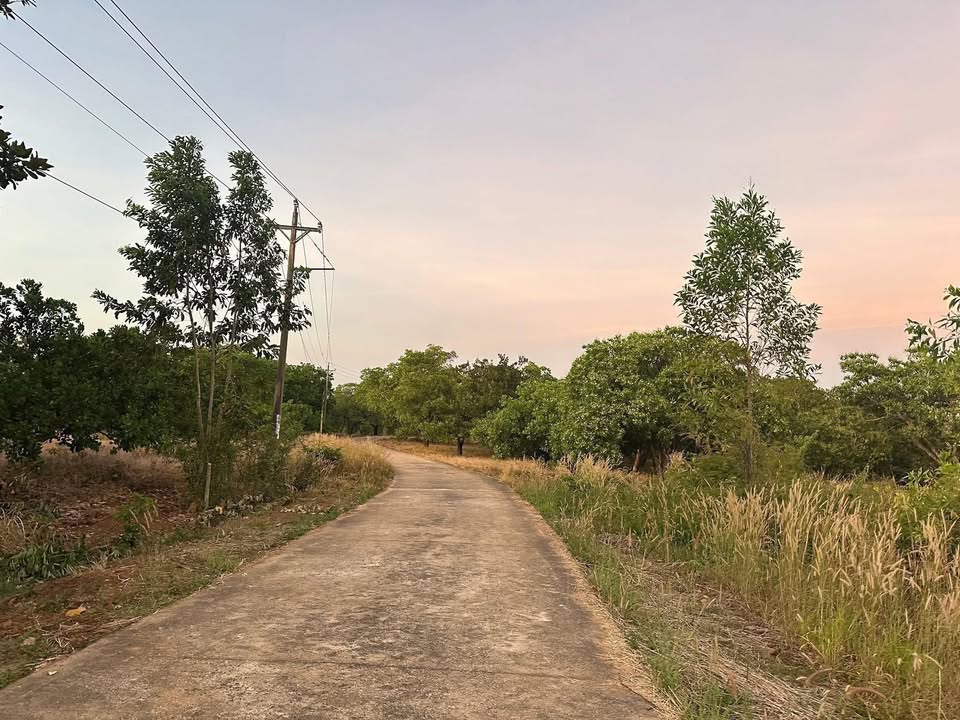 Đất nền Tân Phú 1.000m² giá chỉ 200 triệu - Cơ hội đầu tư tuyệt vời!