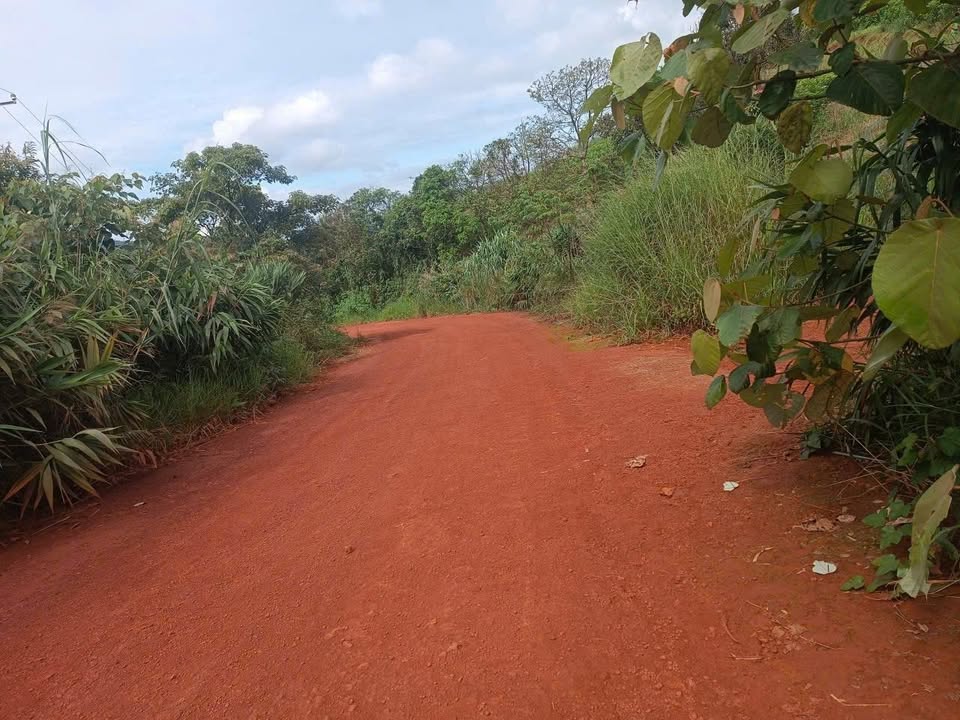 Đất vườn 7200m² Bảo Lộc giá chỉ 1.1 tỷ - Sổ sách đầy đủ, mặt tiền đường