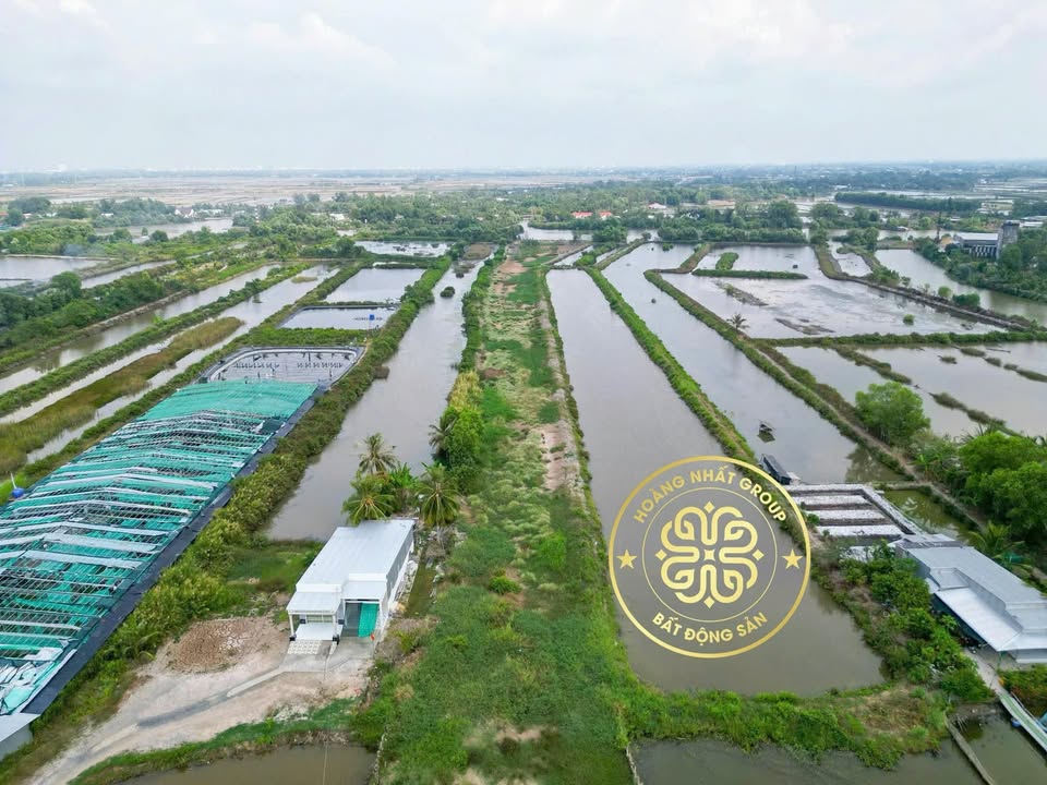 Đất nền Khánh An 7000m² giá 4.x tỷ - Kinh doanh sinh lời ngay!