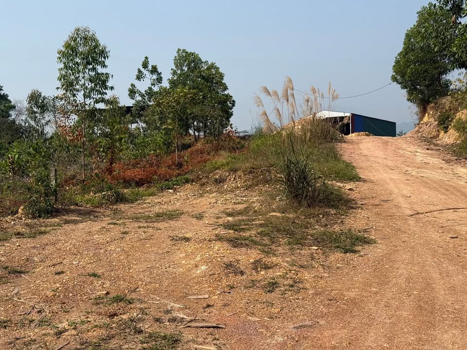 Đất Phúc Thuận, Phổ Yên 3000m² - Tiềm năng cho nhà xưởng và nghỉ dưỡng