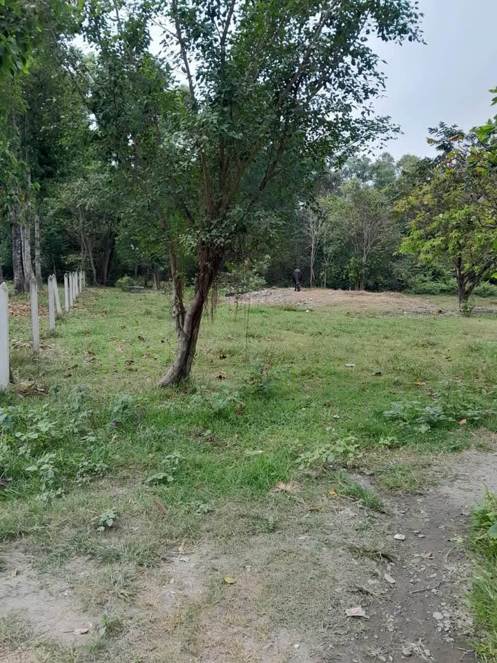 Đất nền 1000m² xã Hòa Phú, Củ Chi giá 7.5 tỷ - Cơ hội đầu tư tuyệt vời!