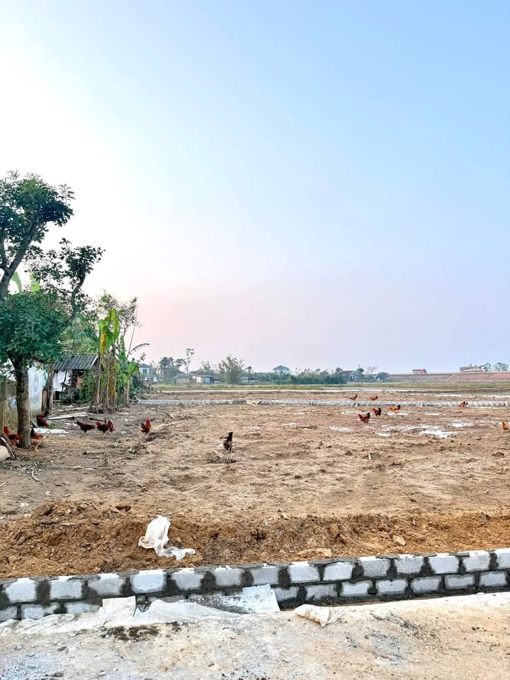 Đất nền Tân Thanh, Thạch Xuân 165m² giá 7 tỷ - Cơ hội đầu tư lý tưởng!