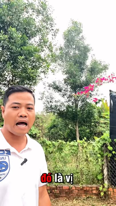 Đất nền 1.161m² mặt tiền suối Nở Hậu - Gần sân bay Long Thành, giá 2.1 tỷ