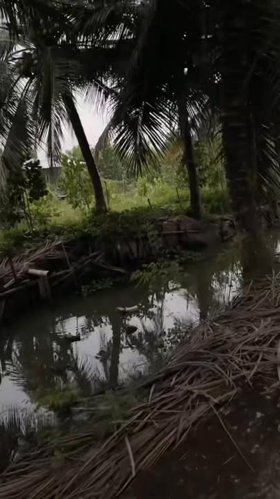 Bán đất nền Tân Phú 2000m² giá 1.4 tỷ - Vị trí đẹp, tách lẻ dễ dàng!