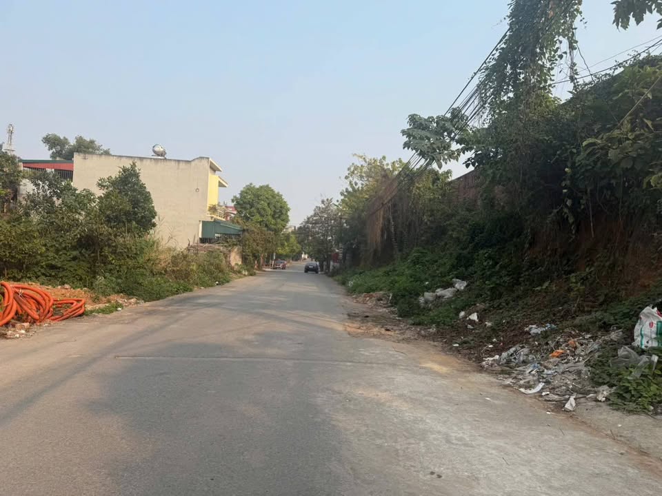 Đất thổ cư 100m² tại KDC Đồi Dẫm - Giá chỉ 2.5 tỷ, vị trí đắc địa!