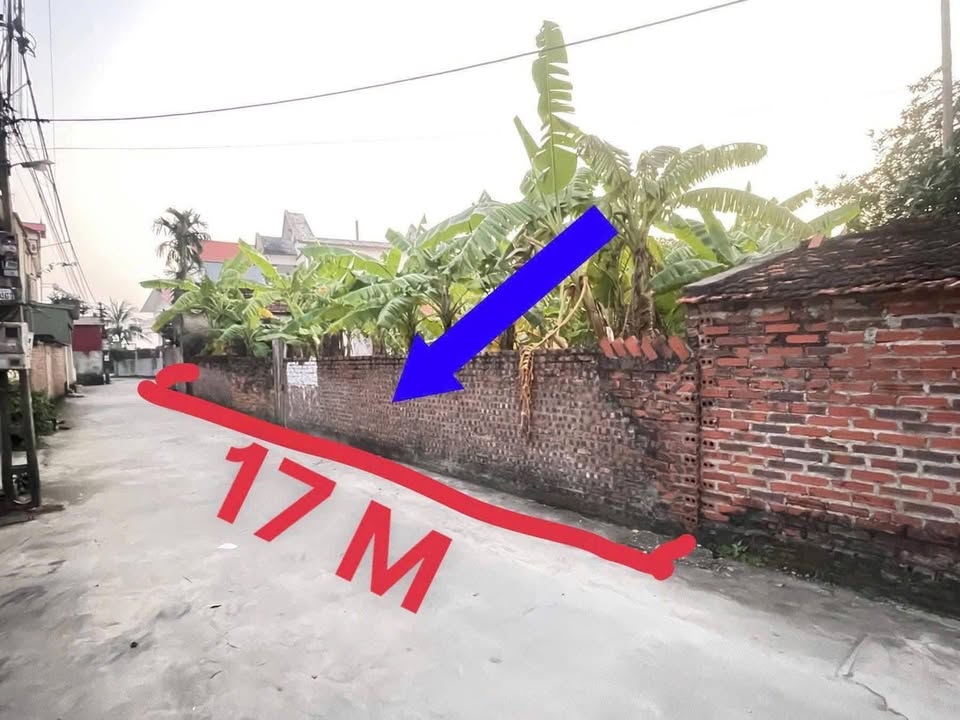 Đất Làng Bùi Thượng - Lê Lợi, Gia Lộc 161m² - Cơ hội đầu tư lý tưởng!