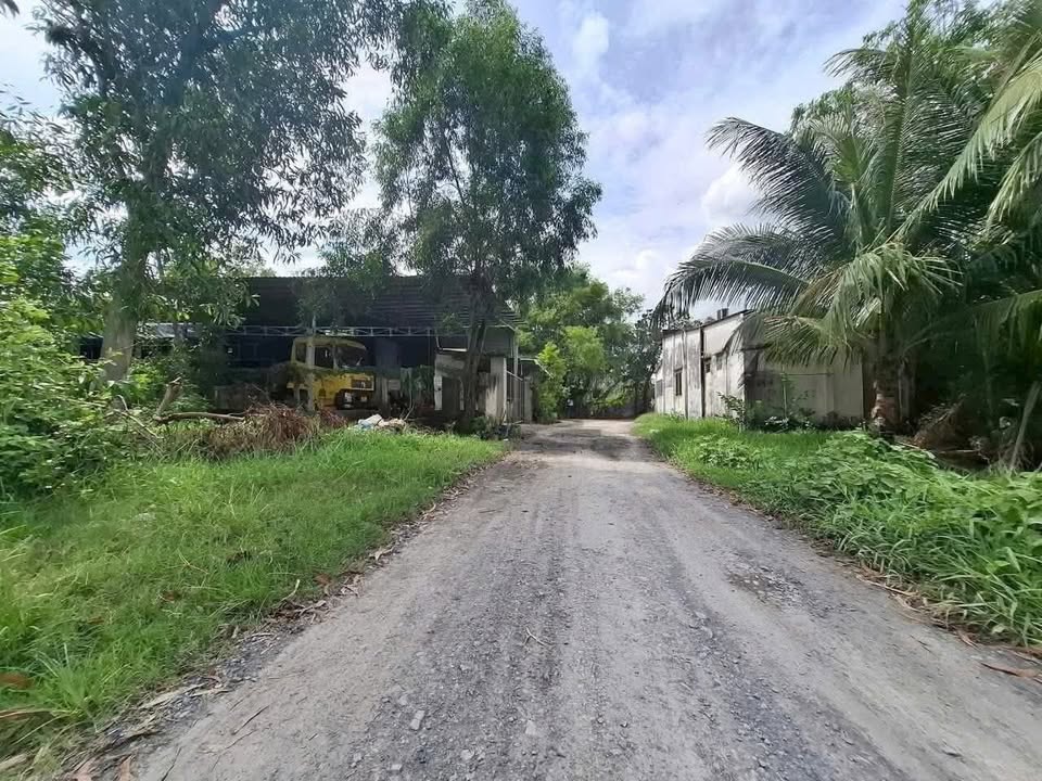 Đất thổ cư xã Đức Lập Hạ 1200m² giá 1.65 tỷ - Cơ hội đầu tư tuyệt vời!