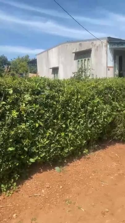 Đất thổ cư Hòa Xuân 2478m² giá chỉ 199.8 triệu - Chính chủ bán gấp!