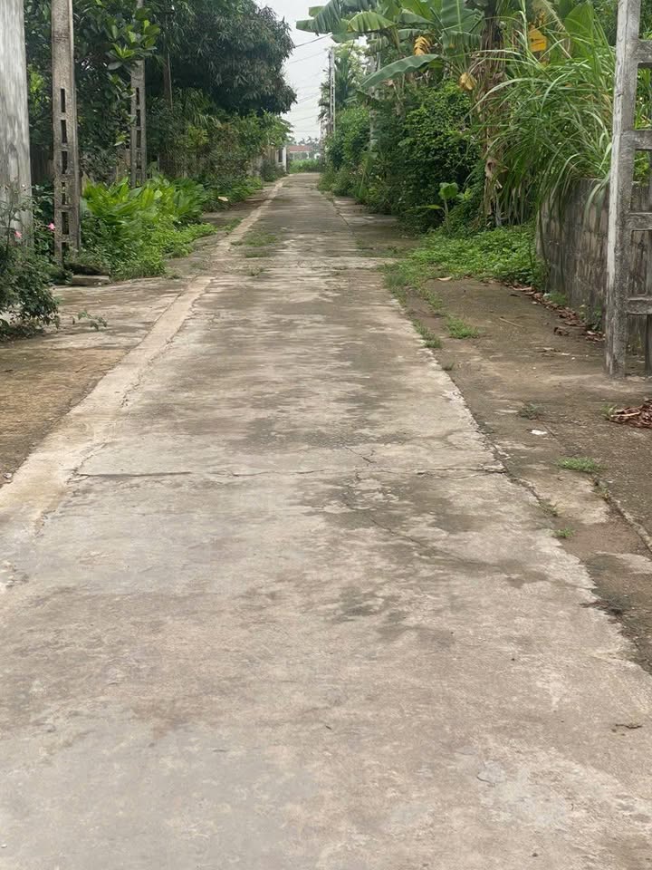 Đất nền xã Nghĩa Hải, 450m² giá chỉ 1xx triệu - Siêu tiềm năng đầu tư!