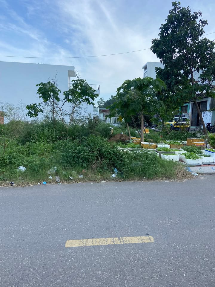 Đất nền mặt tiền đường Trạng Quỳnh, 87m² giá 3.65 tỷ - Sổ hồng chính chủ!