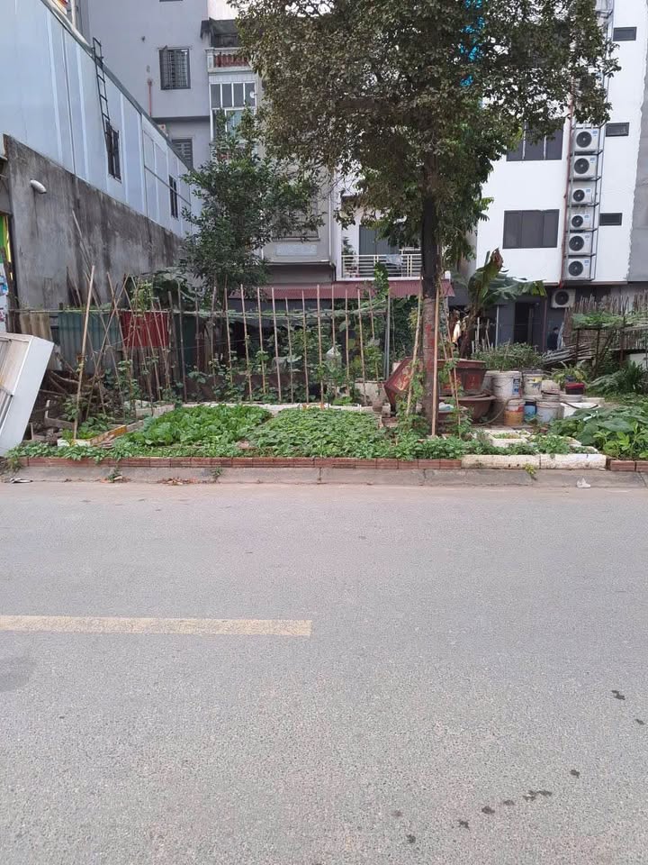 Đất nền X2 Vườn Đào, Hoàng Mai 105m² giá 30.45 tỷ - Đầu tư sinh lời hấp dẫn!
