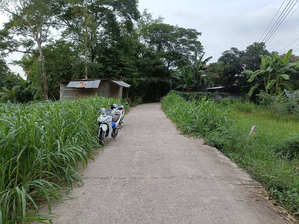 Đất nền 106m² mặt tiền Đường Rạch Ông Tà, An Giang - Giá chỉ 370 triệu