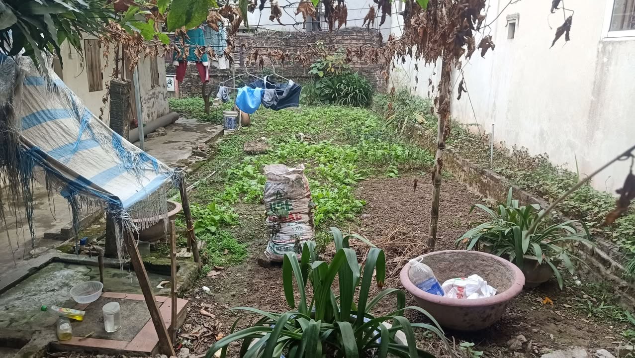 Đất nền Hậu Dưỡng Kim Chung 75m² giá 5.35 tỷ - Mặt tiền đẹp, cơ hội đầu tư sinh lời!