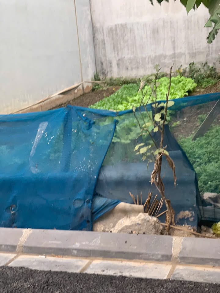 Bán lô đất thôn Mỹ Nội, Đông Anh 55m² - Đầu tư sinh lời ngay!