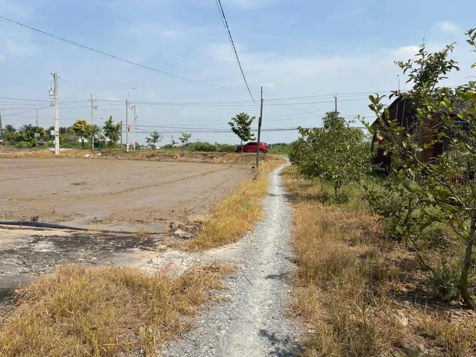 Đất nền 150m² tại Ấp 4, Tân Phước Tây, chỉ 479 triệu - Sổ hồng chính chủ!