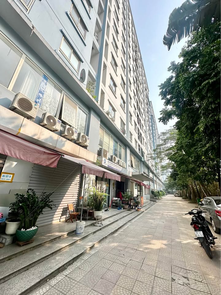 Shophouse Ecohome Bắc Từ Liêm 82m² giá 3 tỷ - Kinh doanh đắc địa!