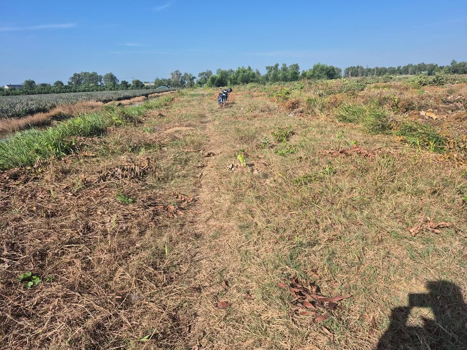 Đất thổ cư 150m² xã Thạnh Tân - Cách chợ 400m, giá chỉ 170 triệu!